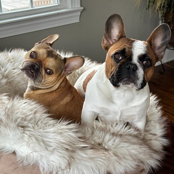 Meet your Posher, Angella - Picture 6 of 15